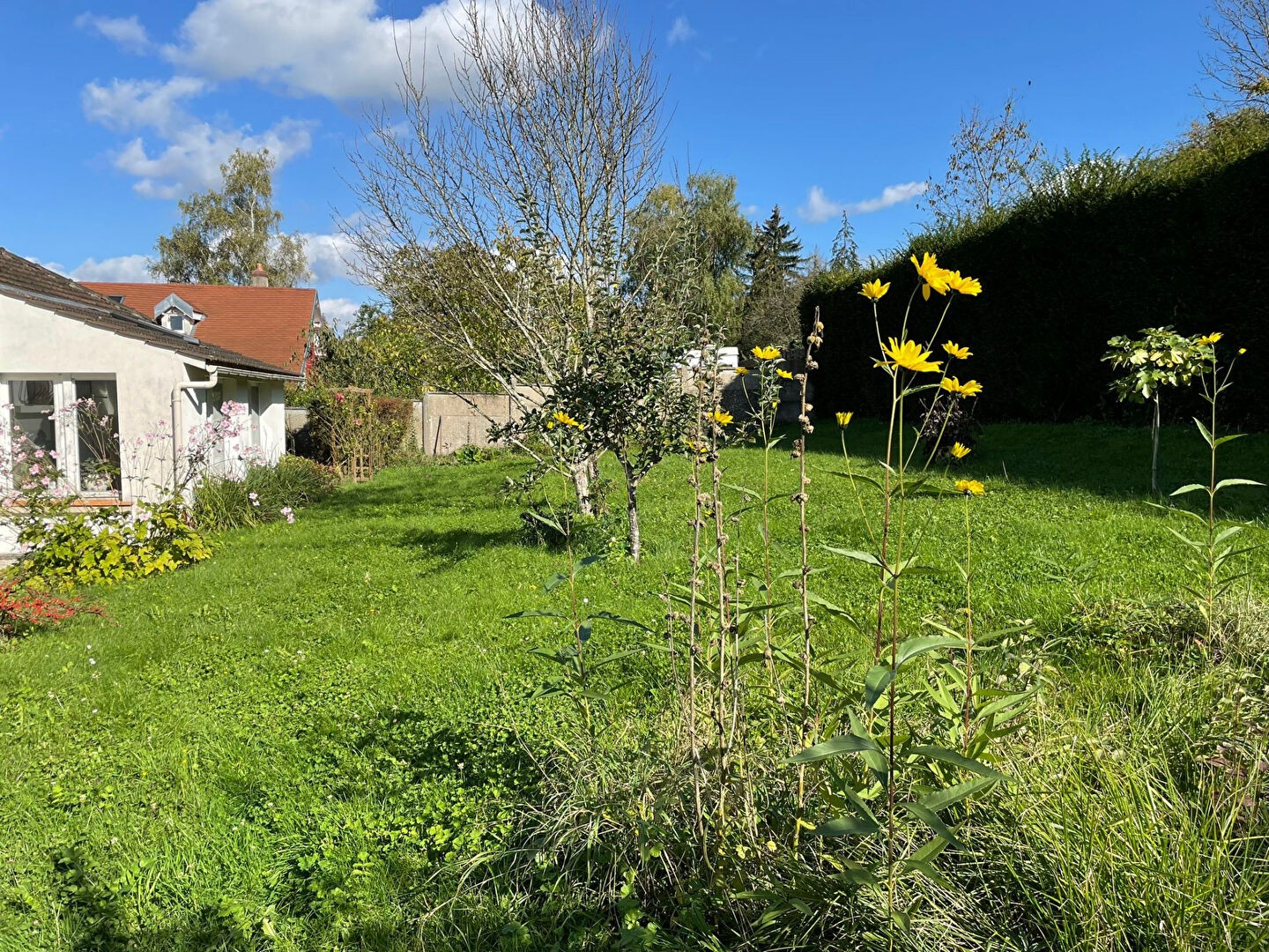 Vente Maison à Château-Thierry 7 pièces