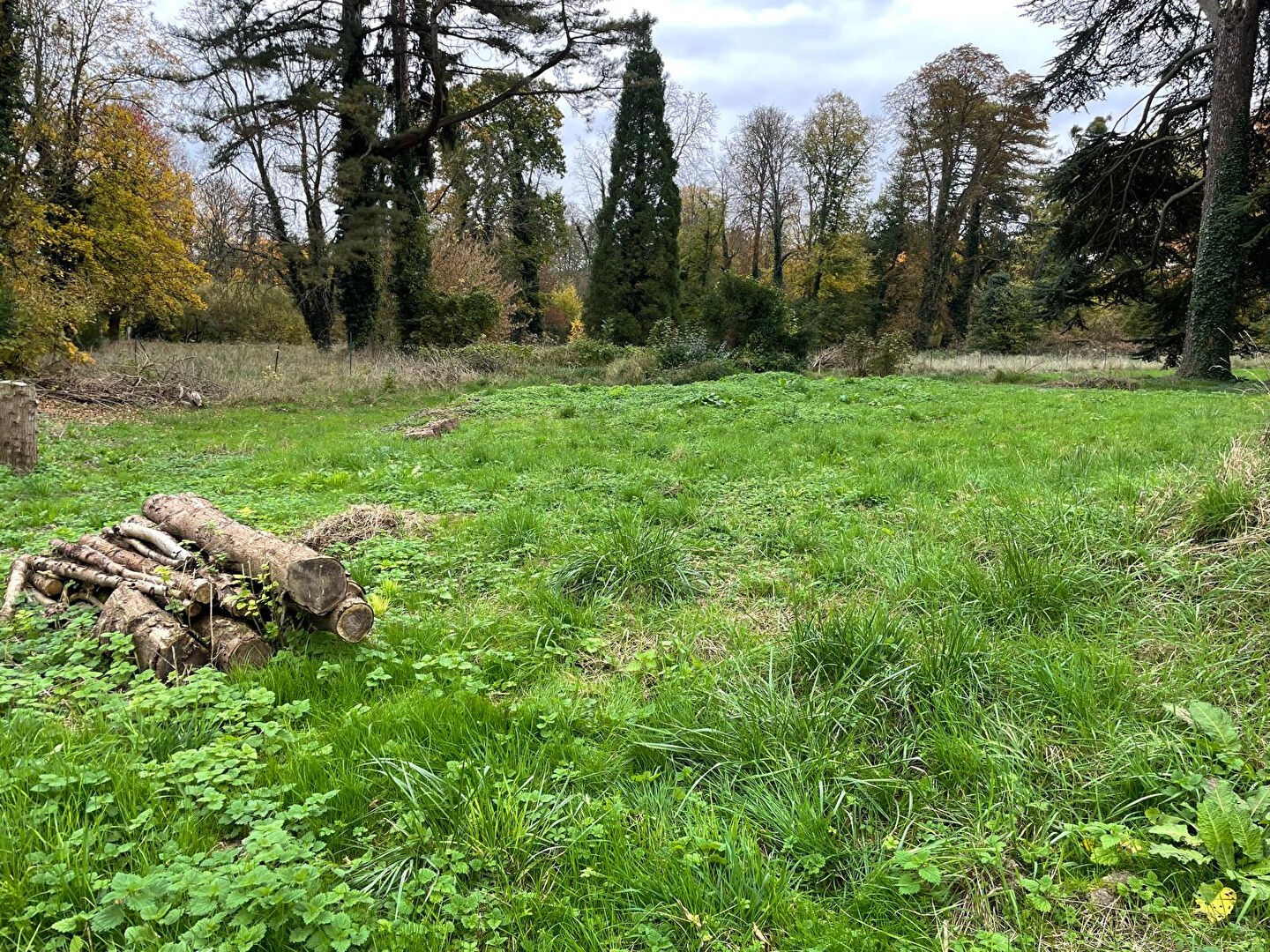 Vente Terrain à Château-Thierry 0 pièce