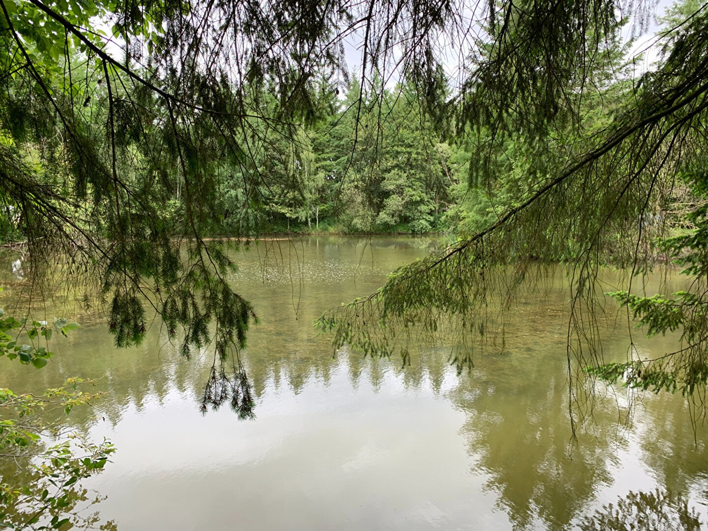 Vente Terrain à Coullons 1 pièce