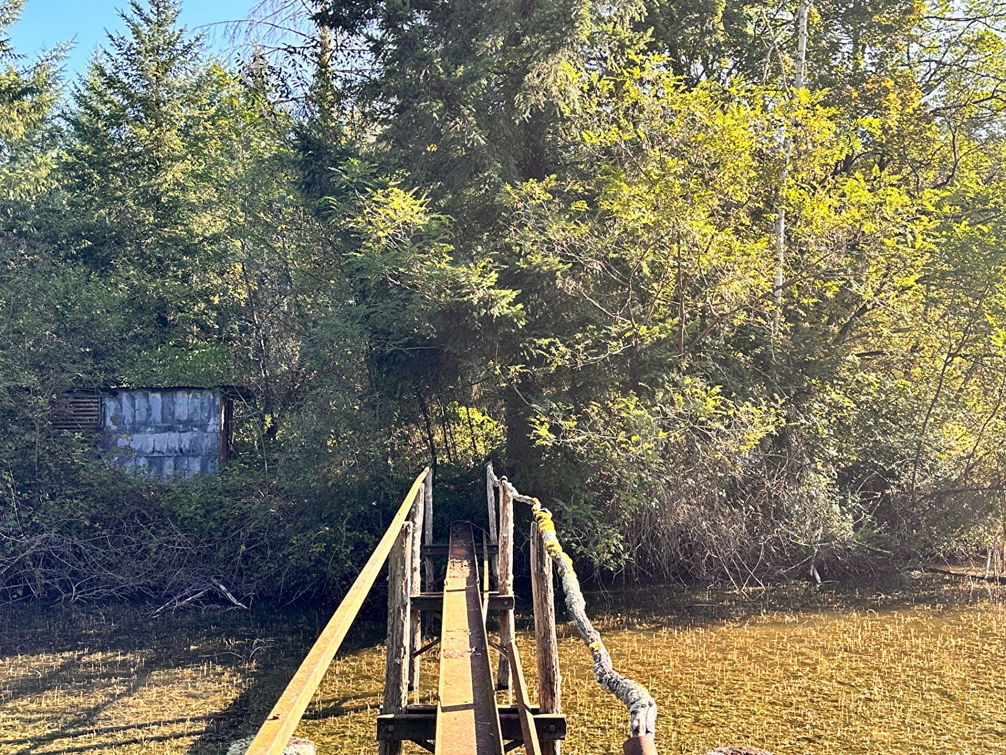 Vente Terrain à Coullons 1 pièce