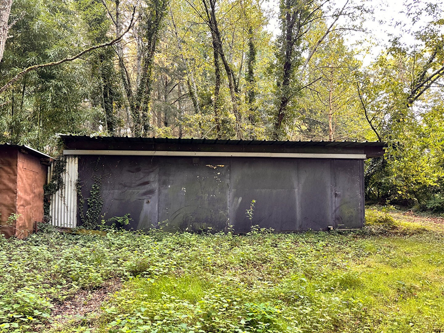 Vente Terrain à Coullons 1 pièce