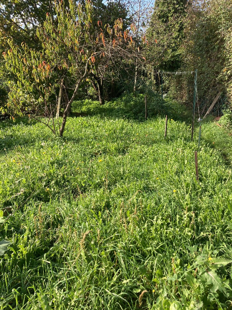 Vente Maison à Neuilly-en-Sancerre 5 pièces