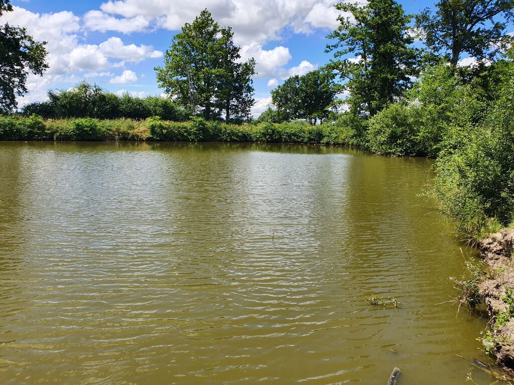 Vente Terrain à Louhans 1 pièce