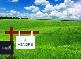 Vente Terrain à Colombey-les-Belles 0 pièce