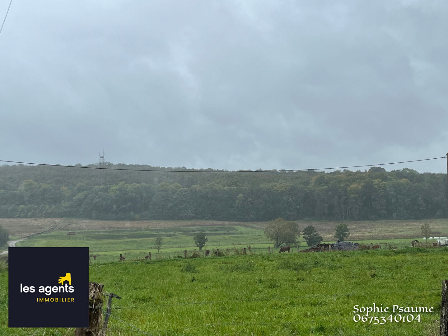 Vente Terrain à Vannes-le-Châtel 0 pièce