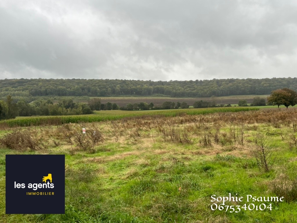 Vente Terrain à Colombey-les-Belles 0 pièce