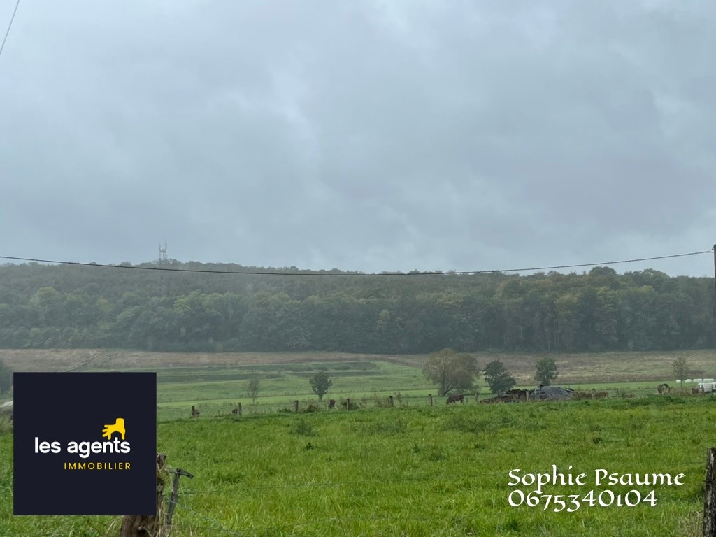 Vente Terrain à Colombey-les-Belles 0 pièce