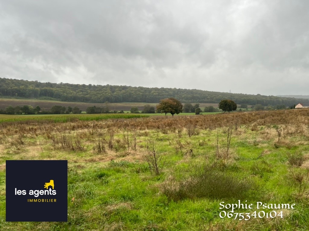 Vente Terrain à Colombey-les-Belles 0 pièce