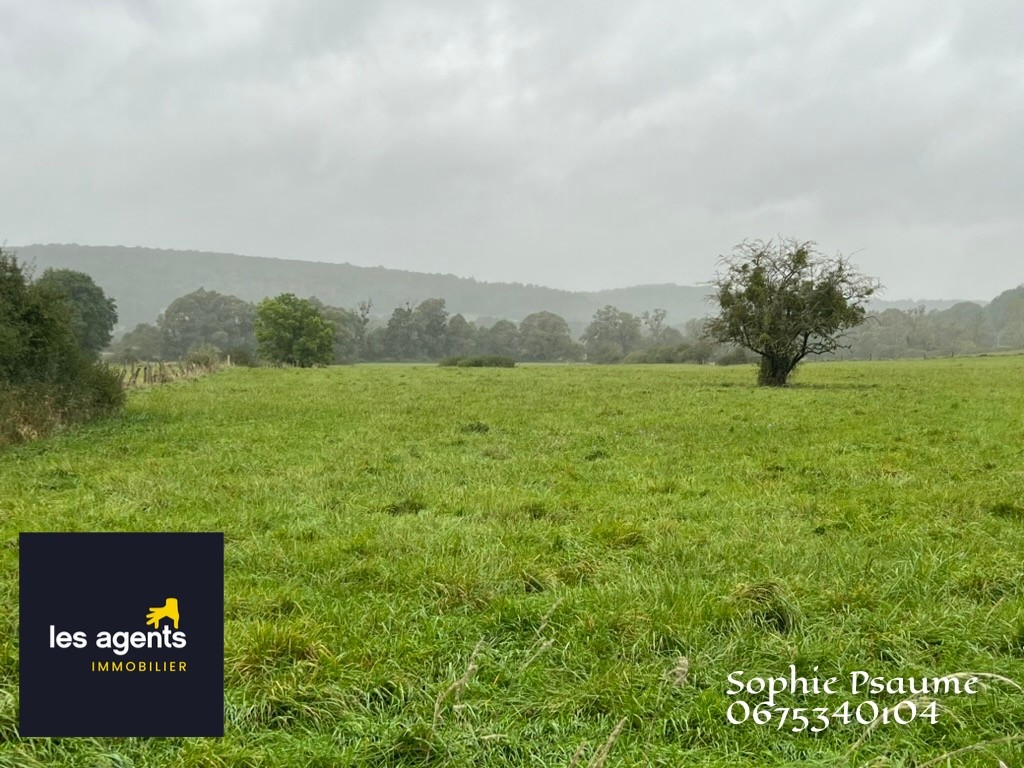 Vente Terrain à Colombey-les-Belles 0 pièce