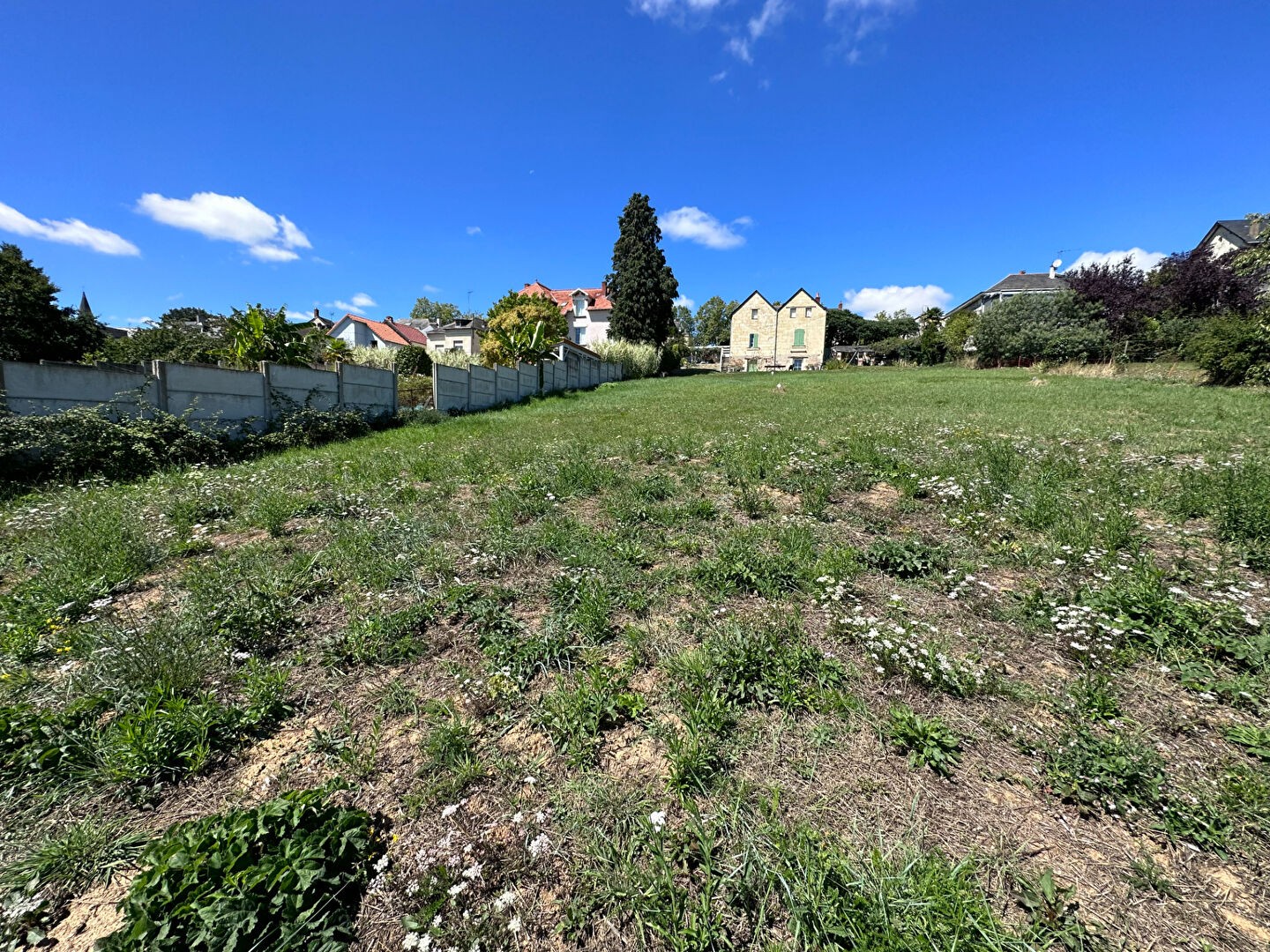 Vente Terrain à Brissac-Quincé 0 pièce