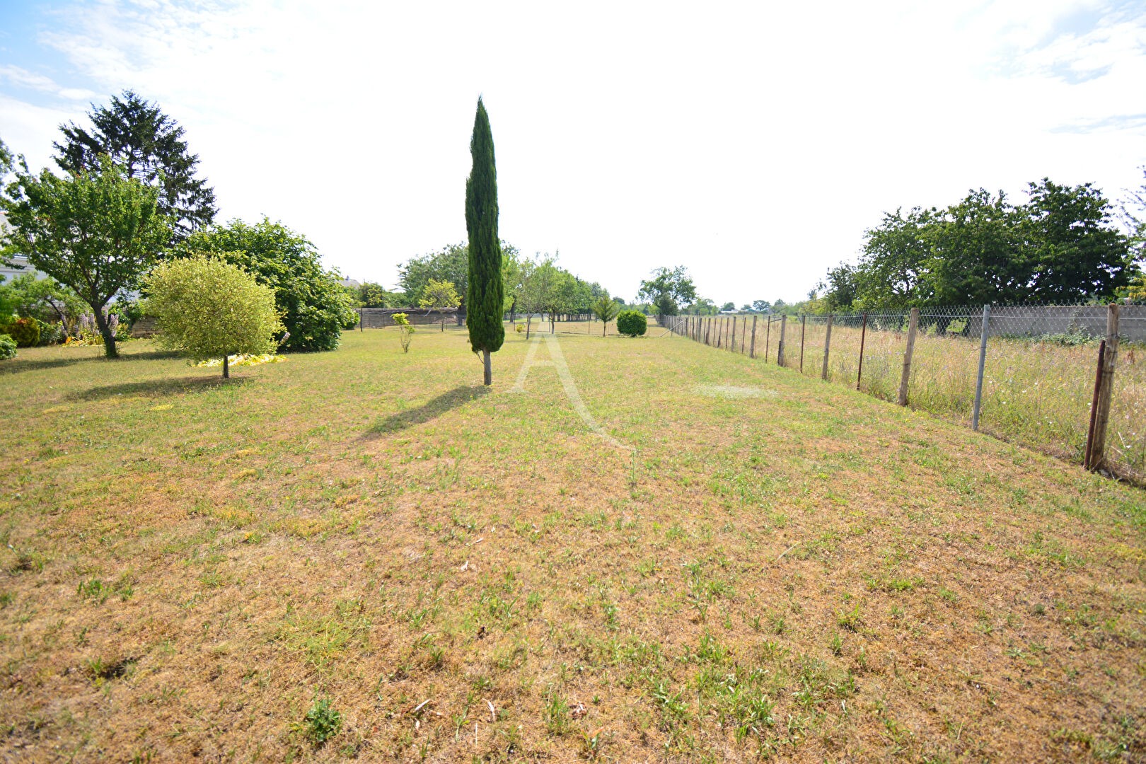 Vente Terrain à Doué-la-Fontaine 0 pièce