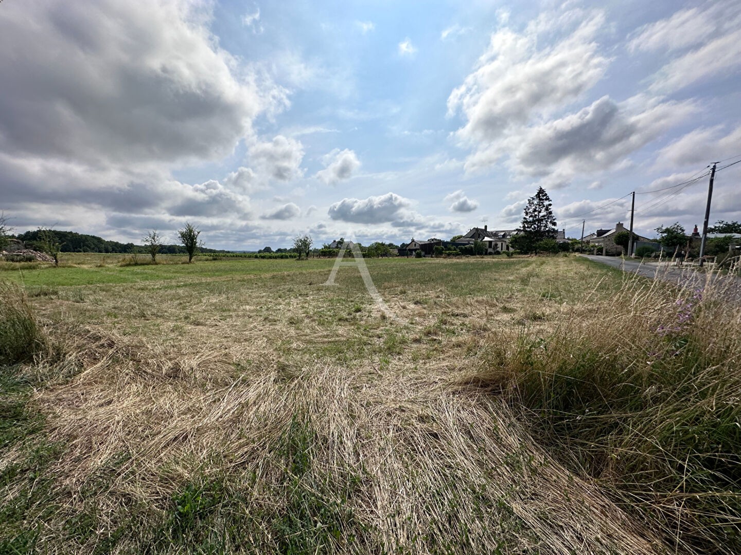 Vente Terrain à Brissac-Quincé 0 pièce