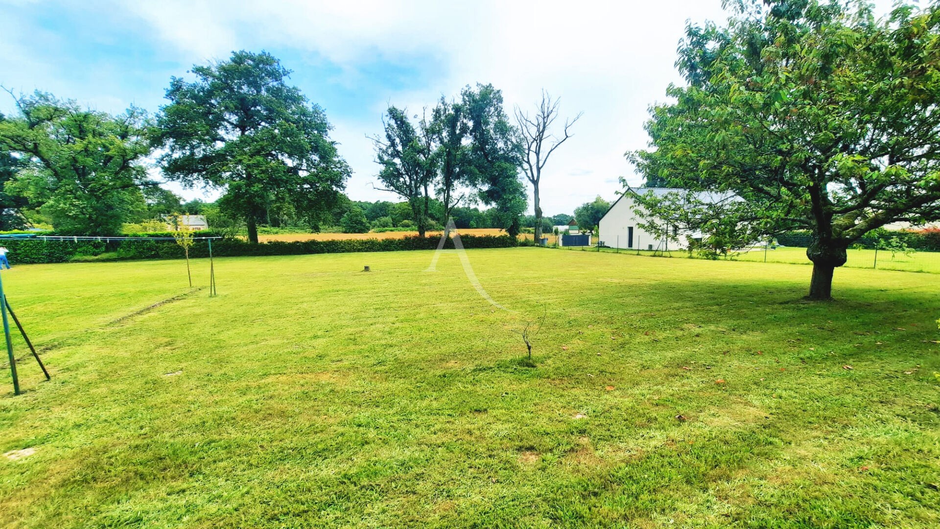 Vente Terrain à Baugé-en-Anjou 0 pièce