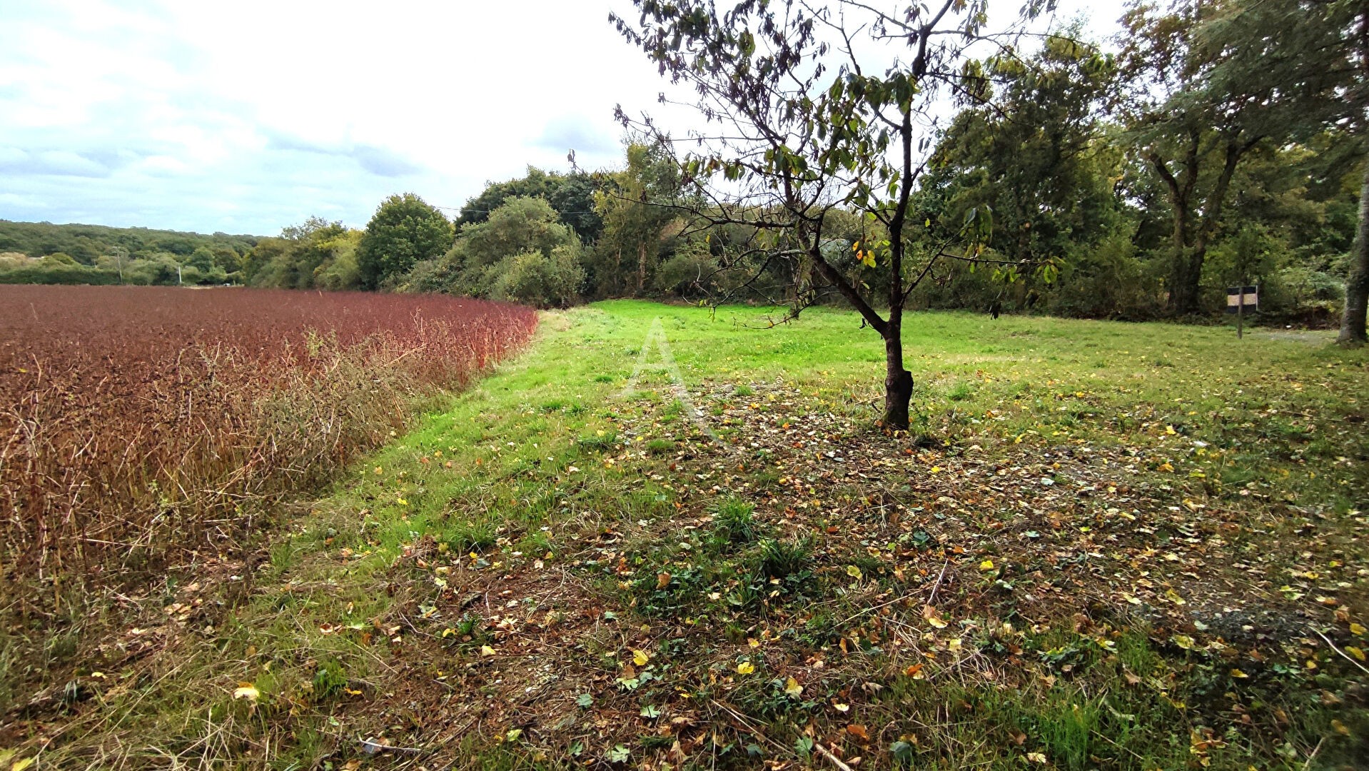 Vente Terrain à Saint-Augustin-des-Bois 0 pièce