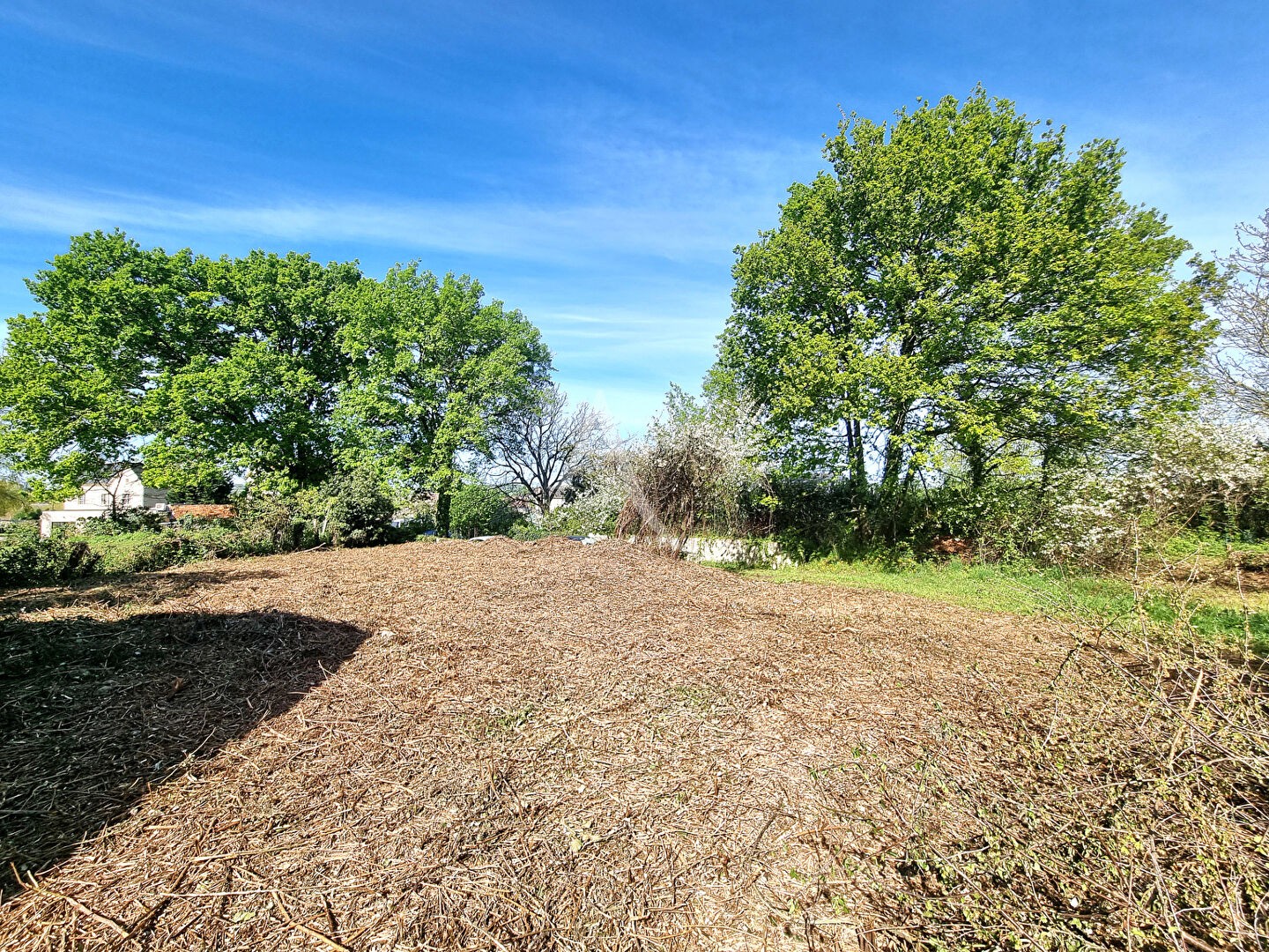 Vente Terrain à Morannes 0 pièce