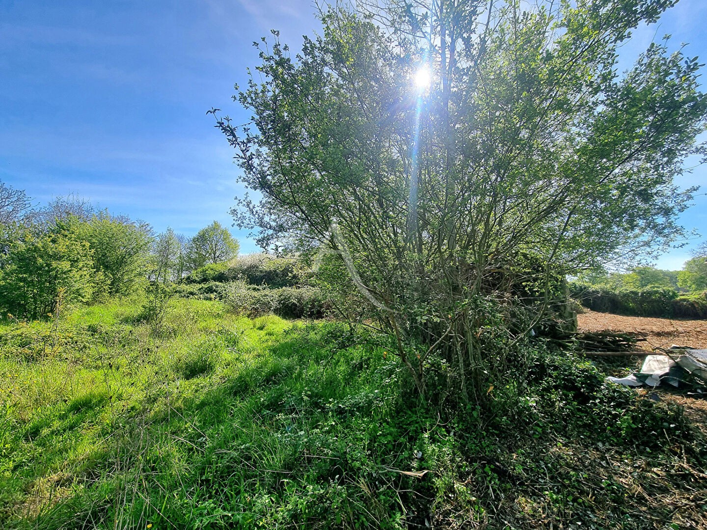 Vente Terrain à Morannes 0 pièce