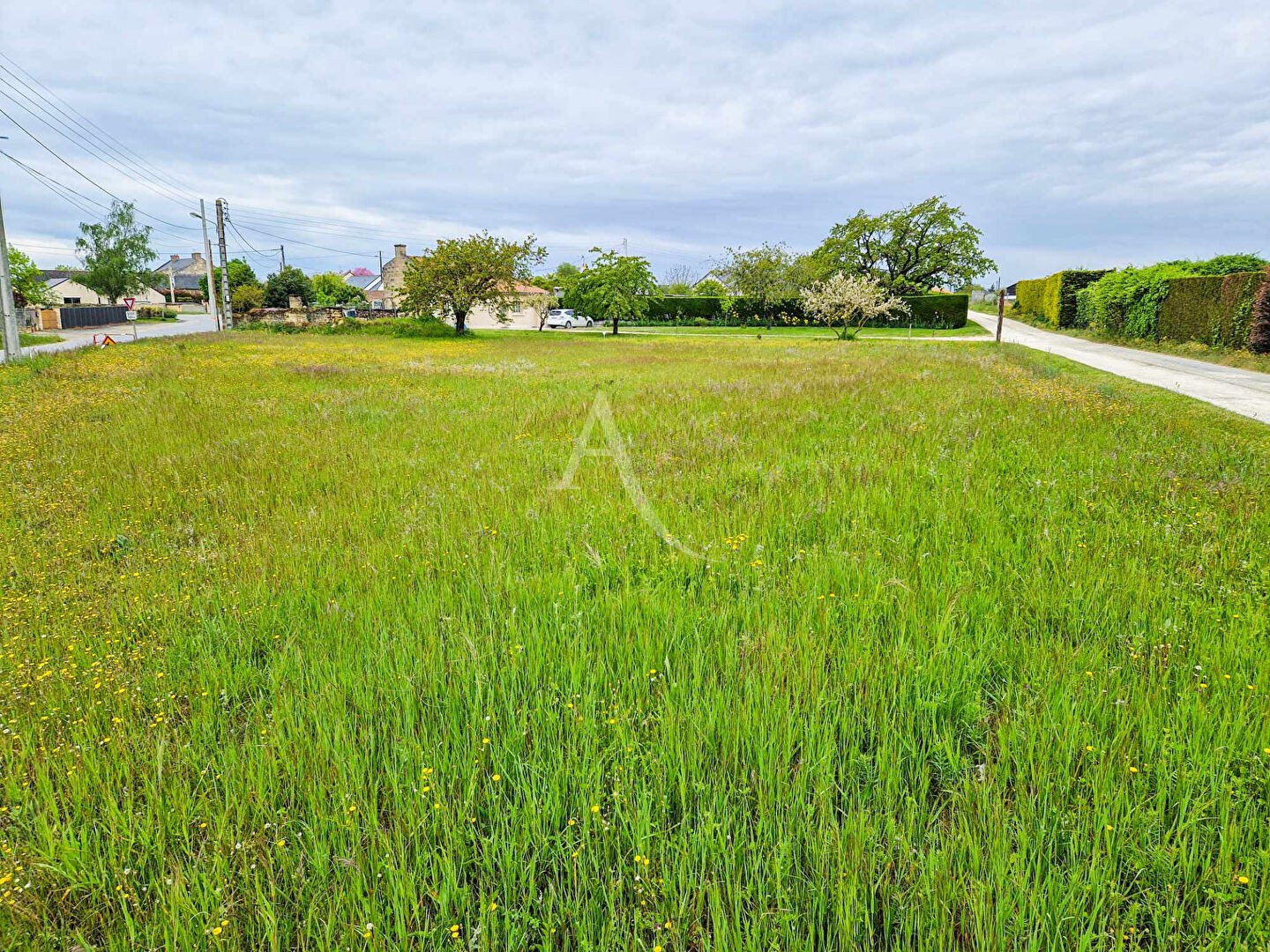 Vente Terrain à Doué-la-Fontaine 0 pièce