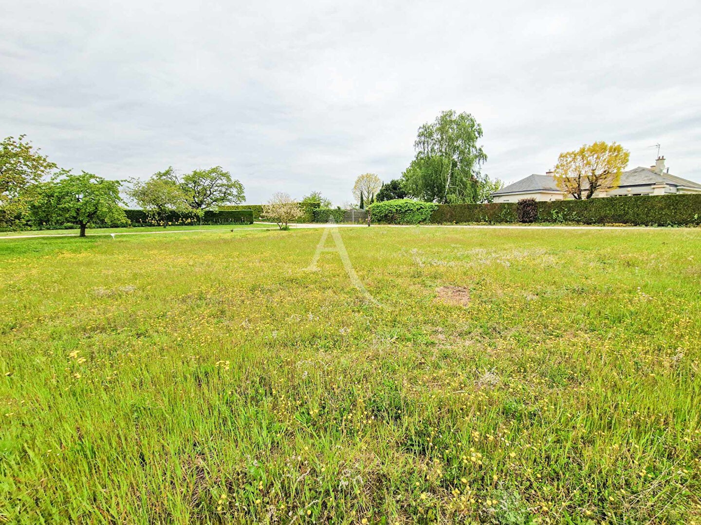 Vente Terrain à Doué-la-Fontaine 0 pièce