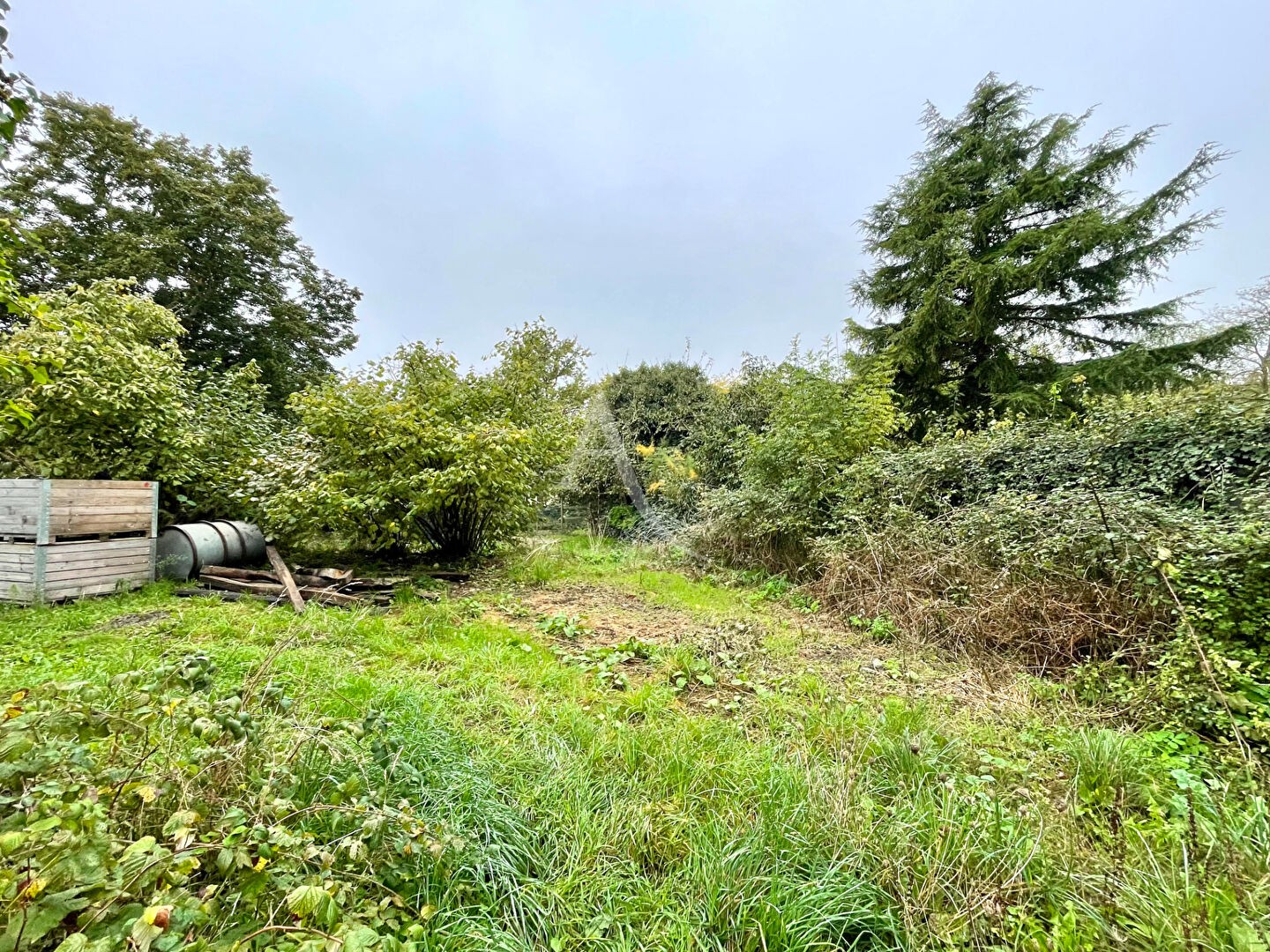 Vente Maison à Juigné-sur-Loire 5 pièces