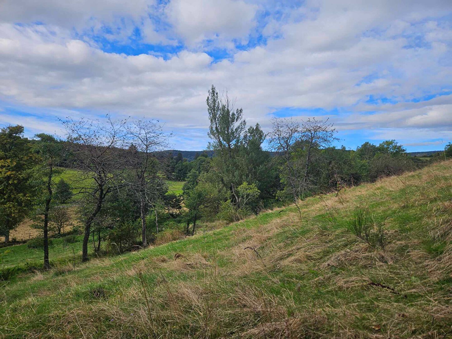 Vente Maison à Araules 10 pièces