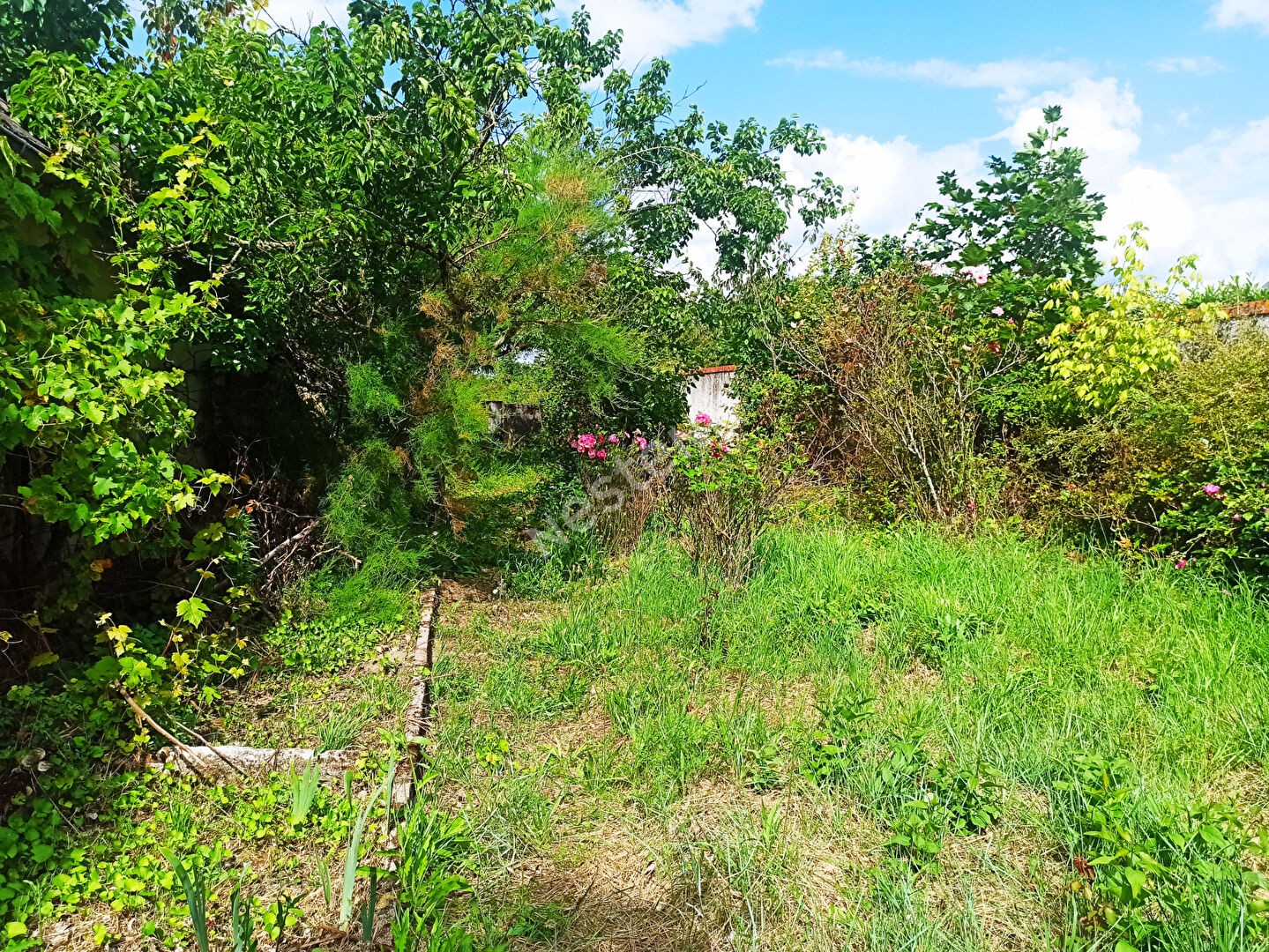 Vente Maison à Vineuil 4 pièces