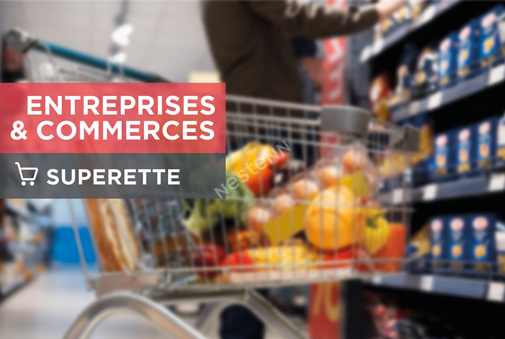 Vente Bureau / Commerce à Francueil 5 pièces