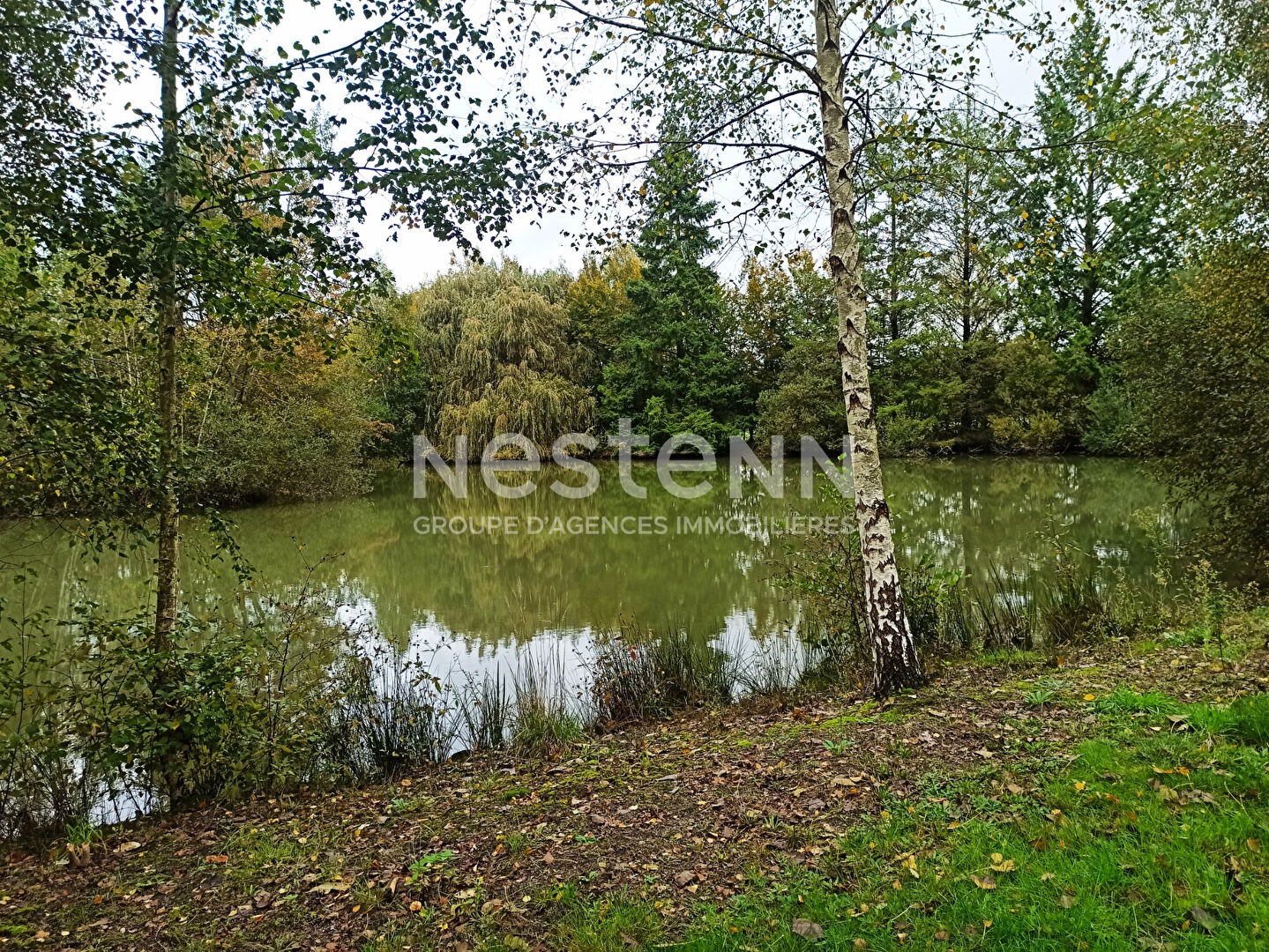 Vente Terrain à Contres 0 pièce