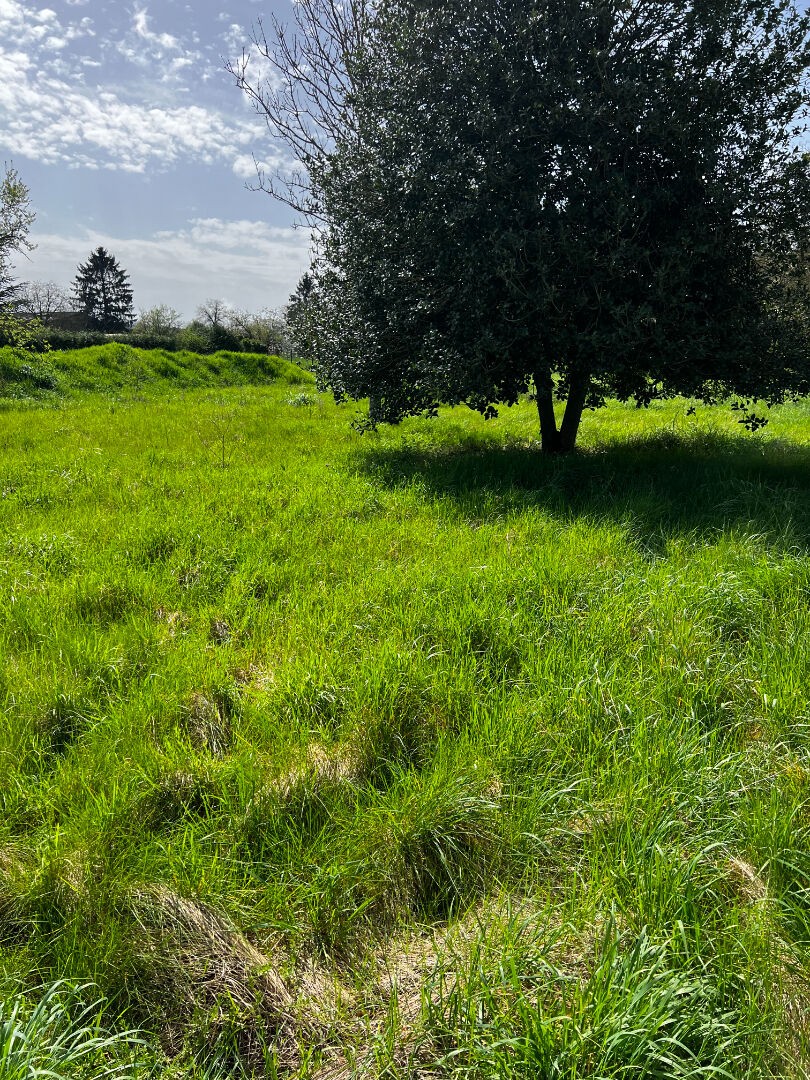 Vente Terrain à Laon 0 pièce