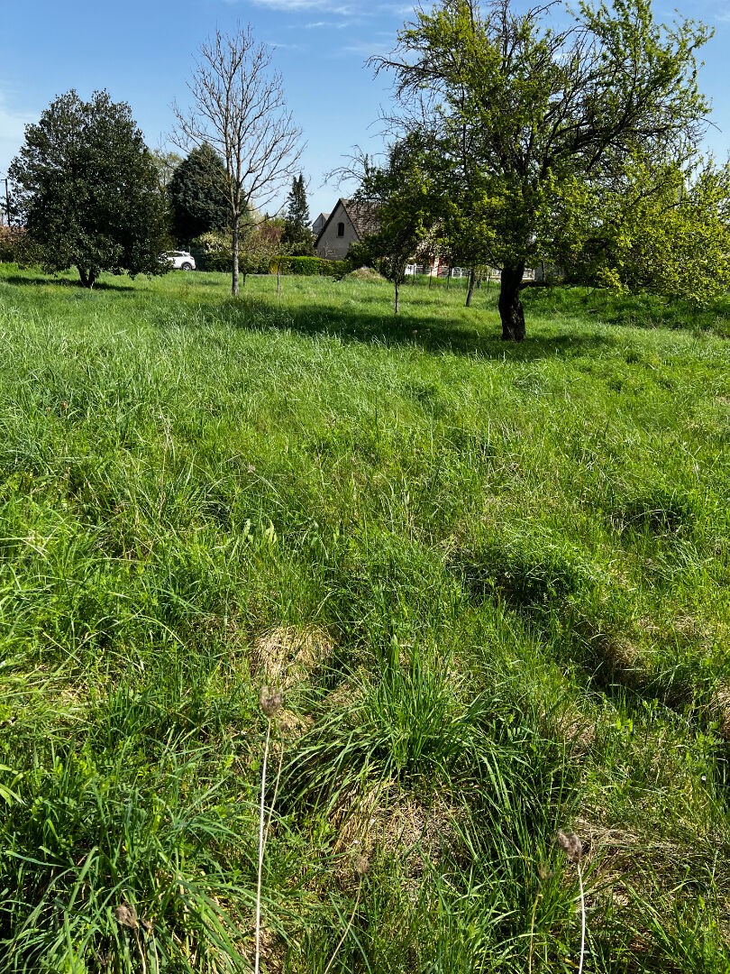 Vente Terrain à Laon 0 pièce