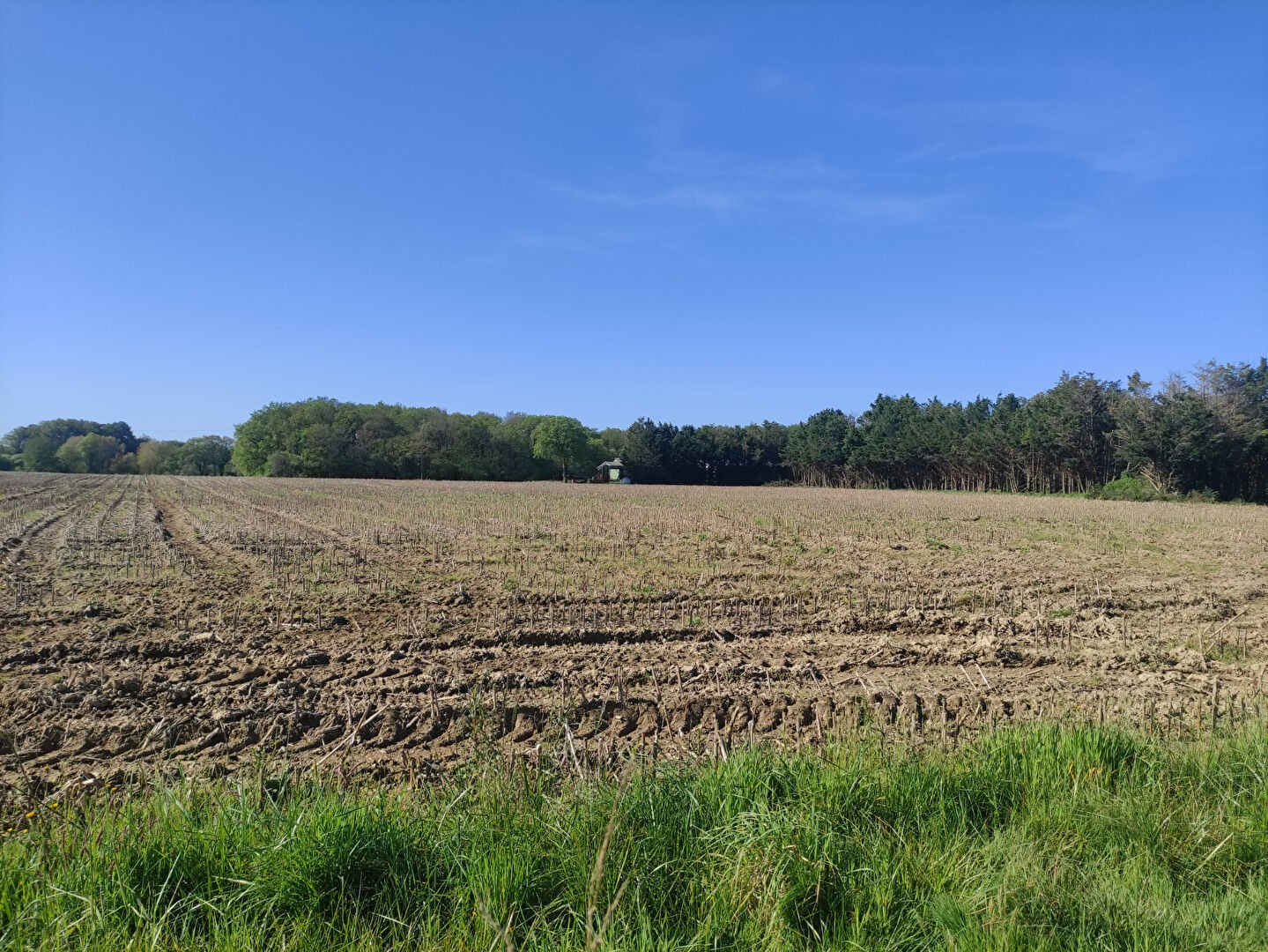 Vente Terrain à Drefféac 0 pièce