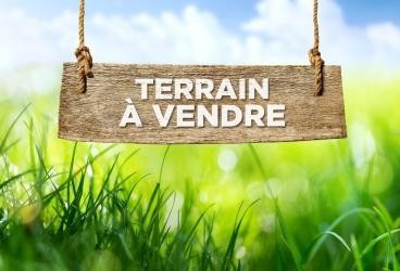 Vente Terrain à Nogent-le-Roi 0 pièce