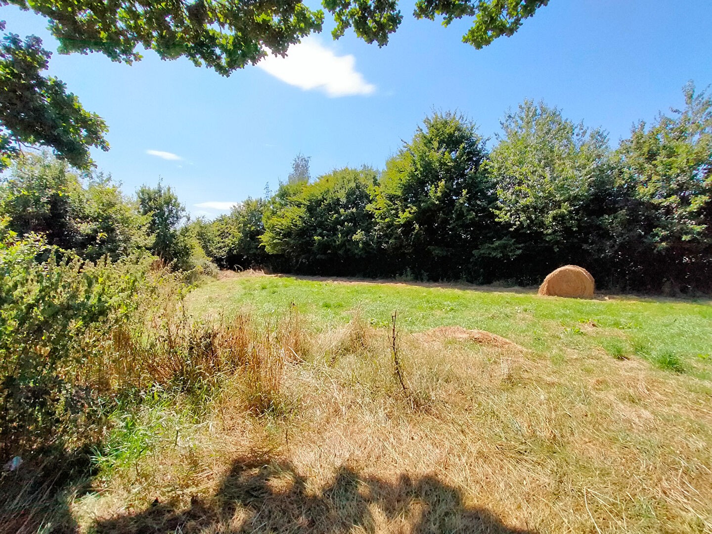 Vente Maison à Villaines-la-Juhel 5 pièces