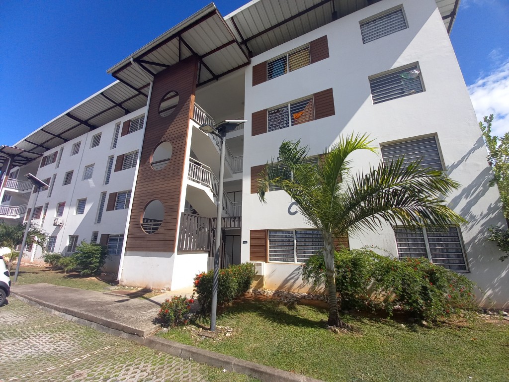 Vente Appartement à Cayenne 1 pièce