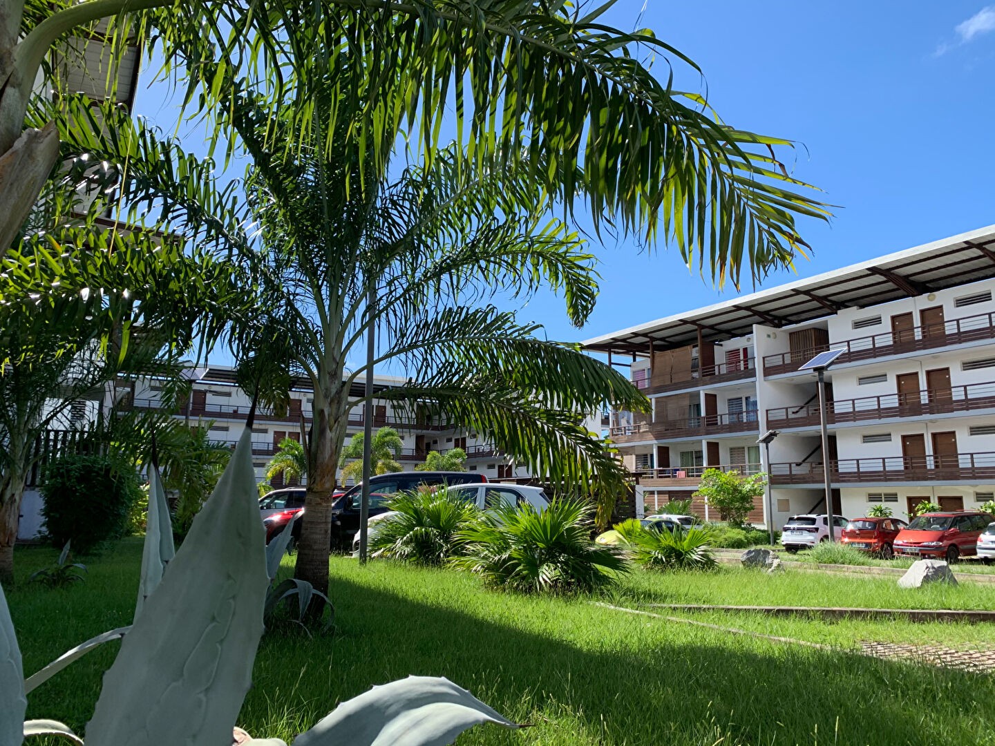 Vente Appartement à Cayenne 1 pièce