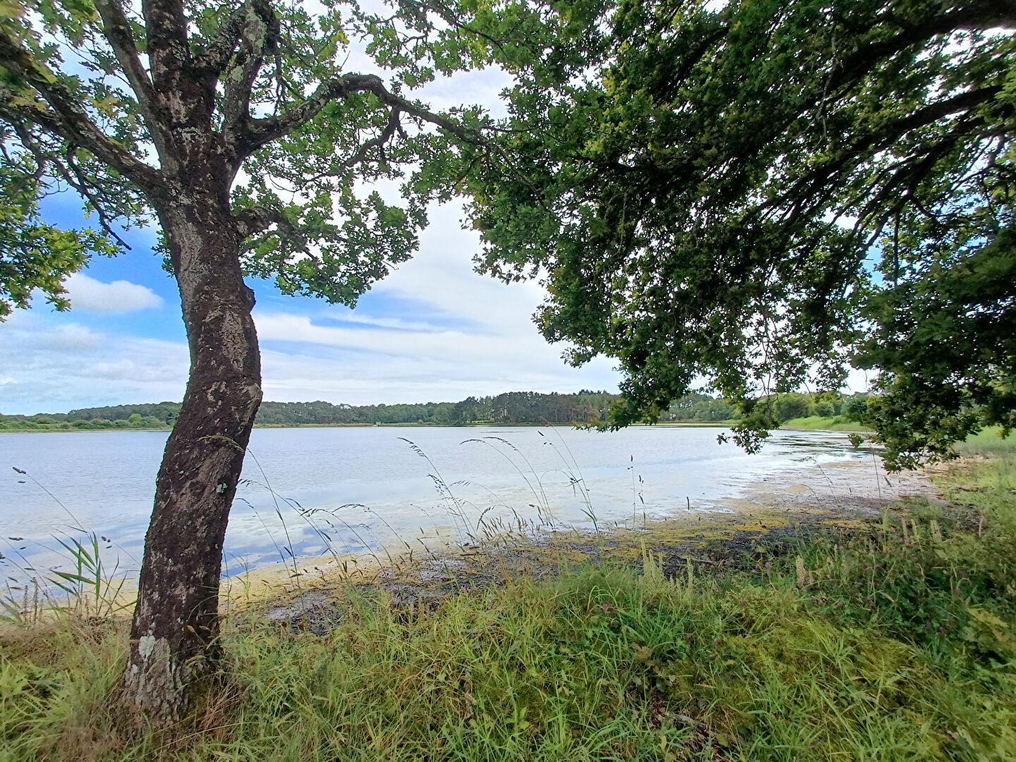 Vente Maison à Locoal-Mendon 7 pièces