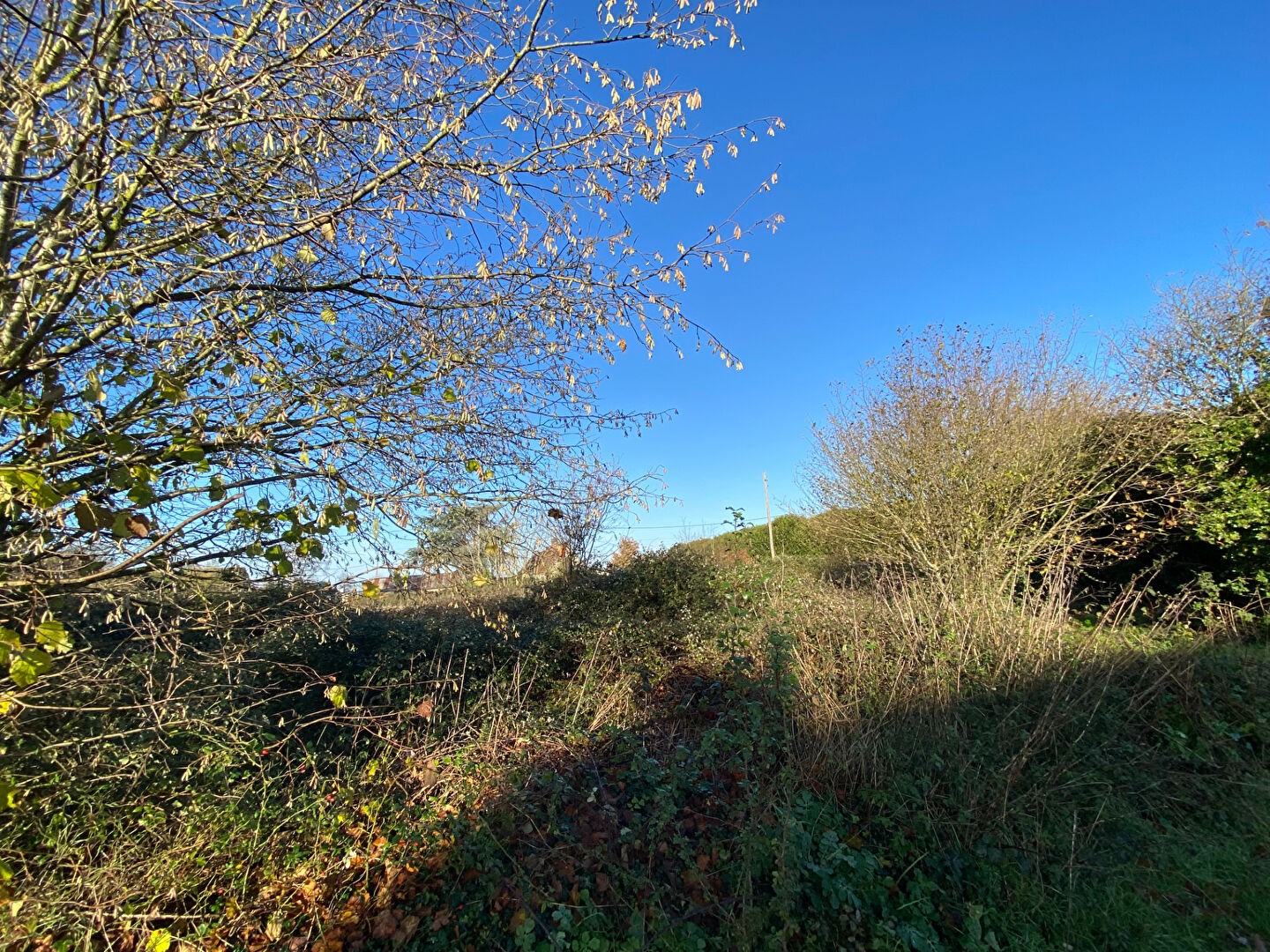 Vente Terrain à Damville 0 pièce