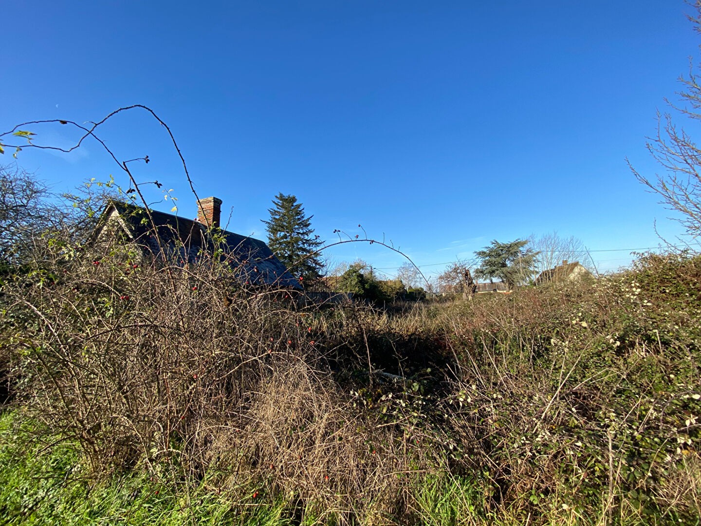 Vente Terrain à Damville 0 pièce