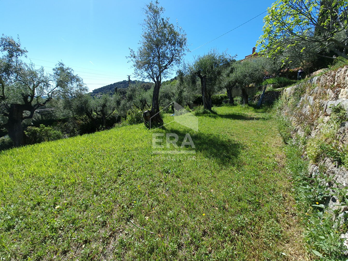 Vente Terrain à Grasse 0 pièce