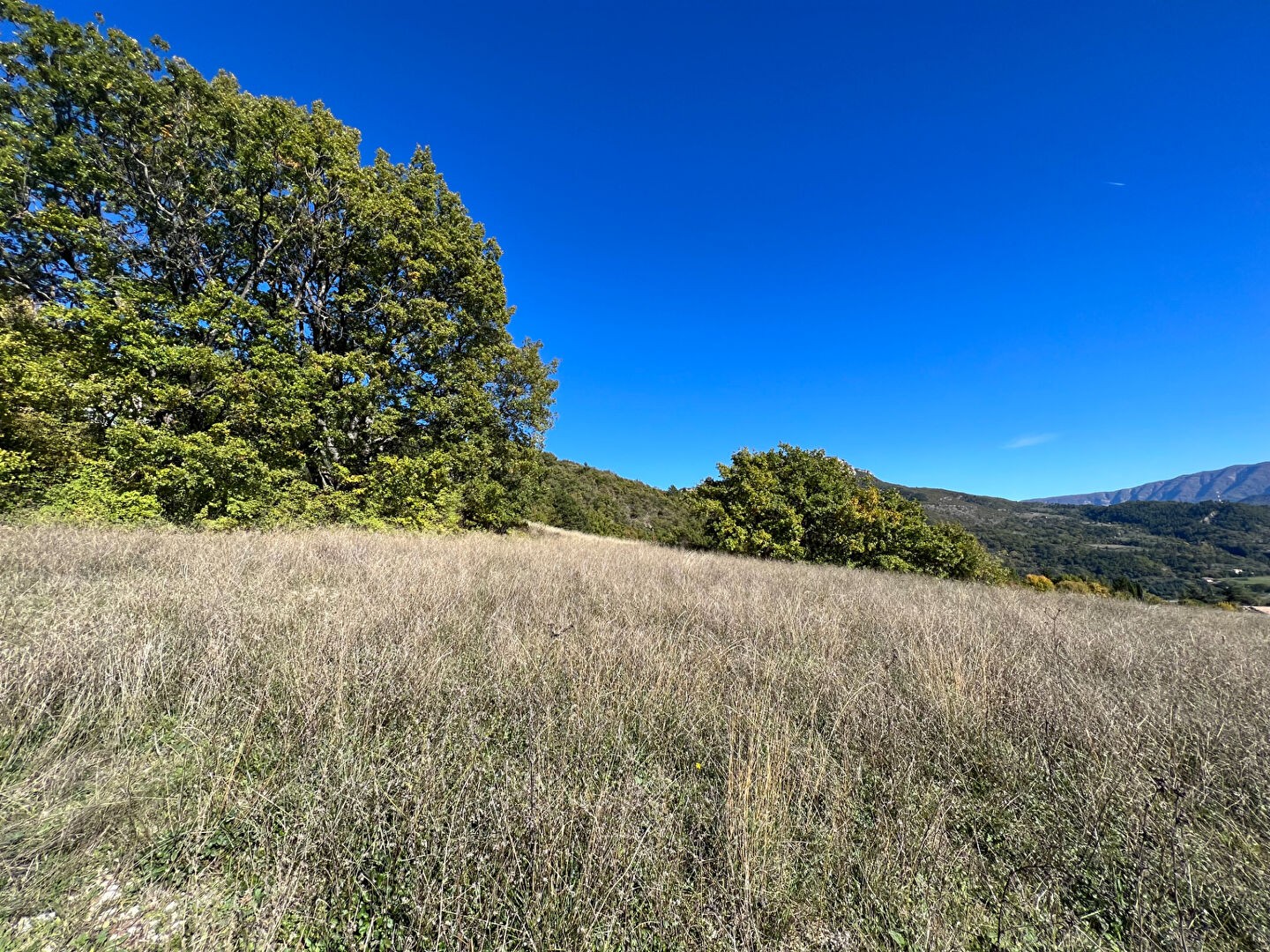 Vente Terrain à Sisteron 0 pièce