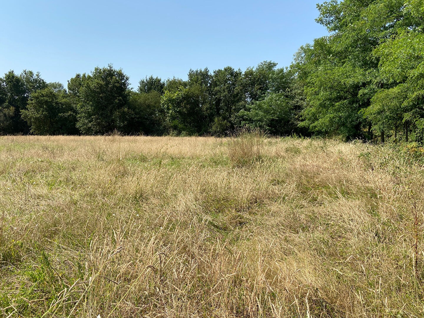 Vente Terrain à Pontonx-sur-l'Adour 0 pièce