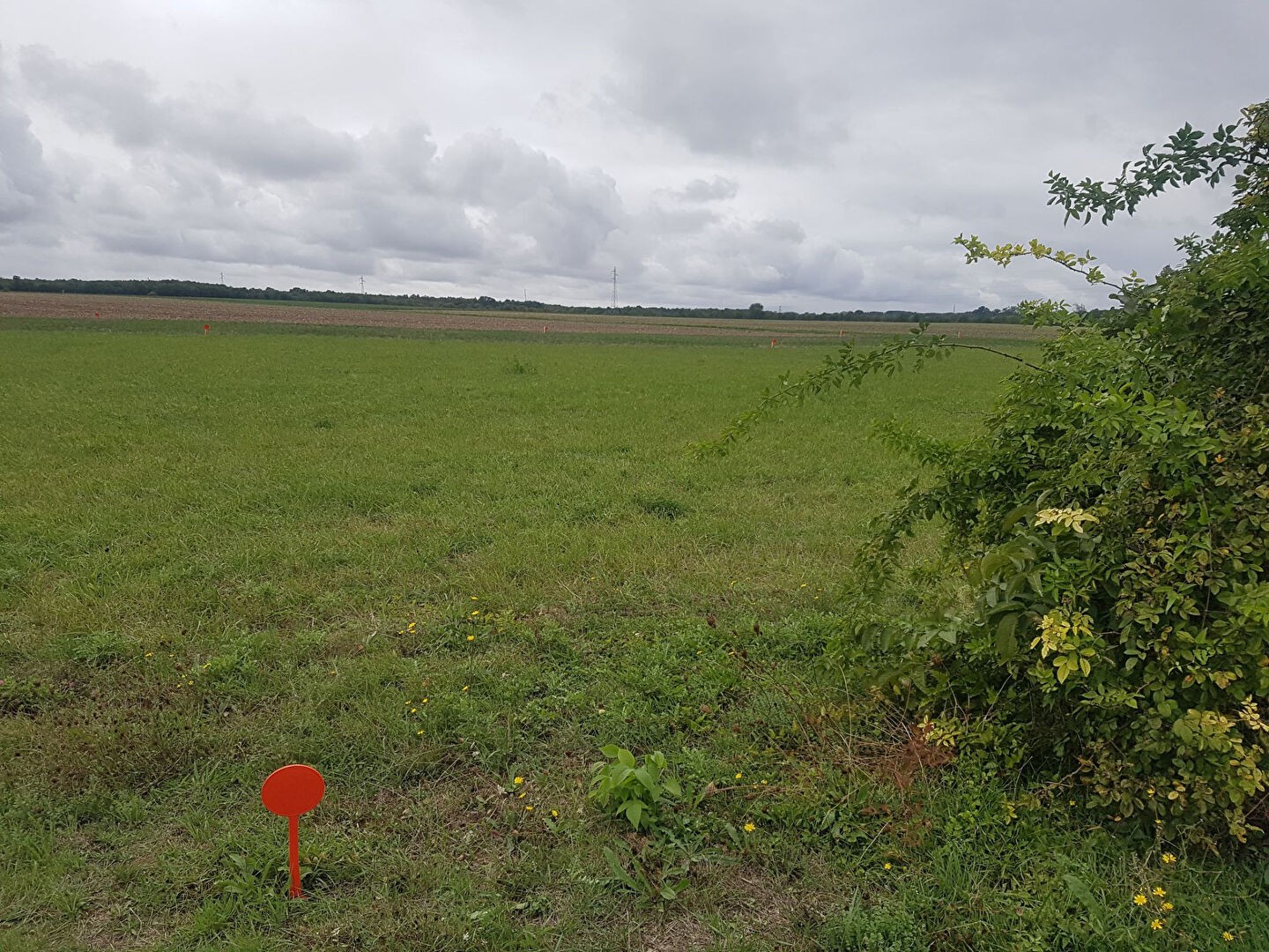 Vente Terrain à Mauzé-sur-le-Mignon 0 pièce