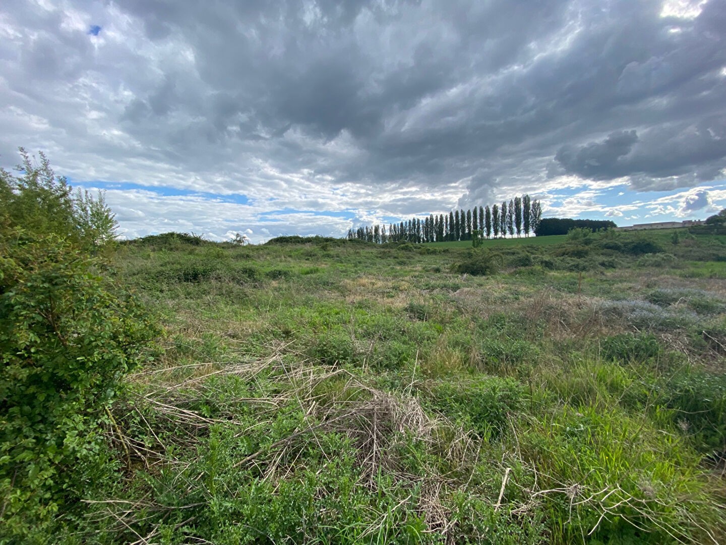 Vente Terrain à Harly 0 pièce