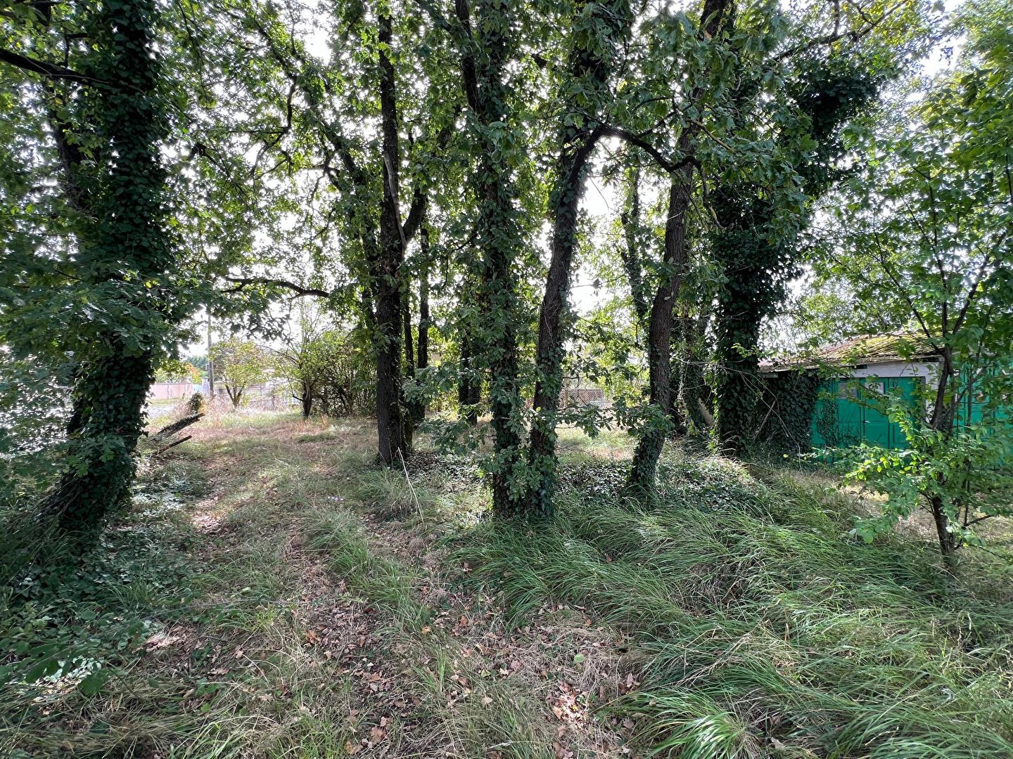 Vente Terrain à la Couronne 0 pièce