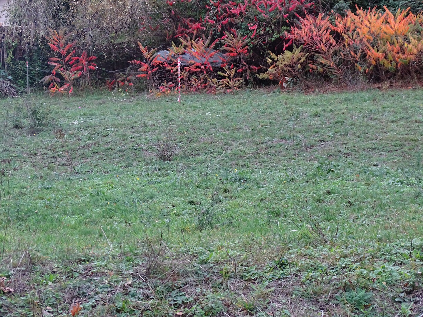 Vente Terrain à Besançon 0 pièce