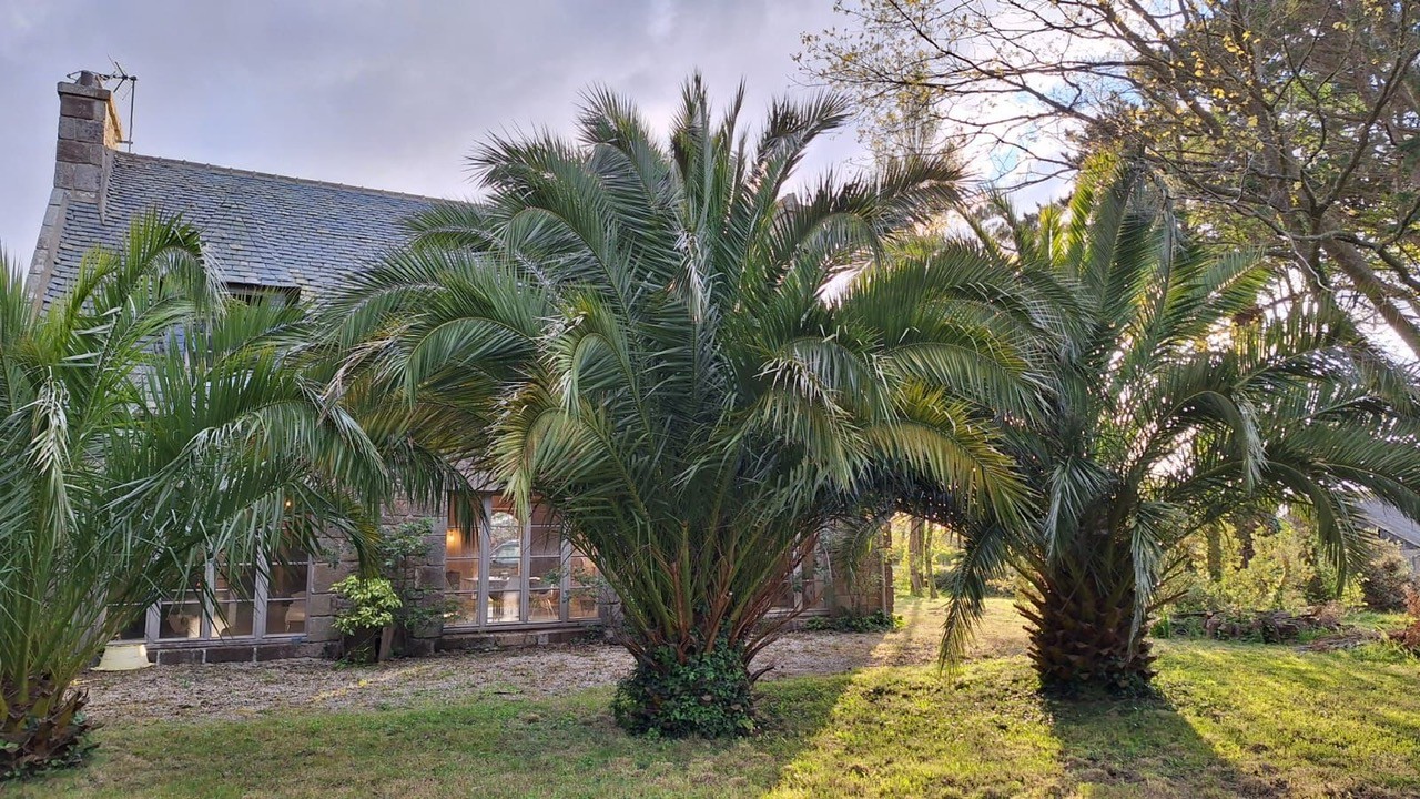 Vente Maison à Saint-Pol-de-Léon 5 pièces