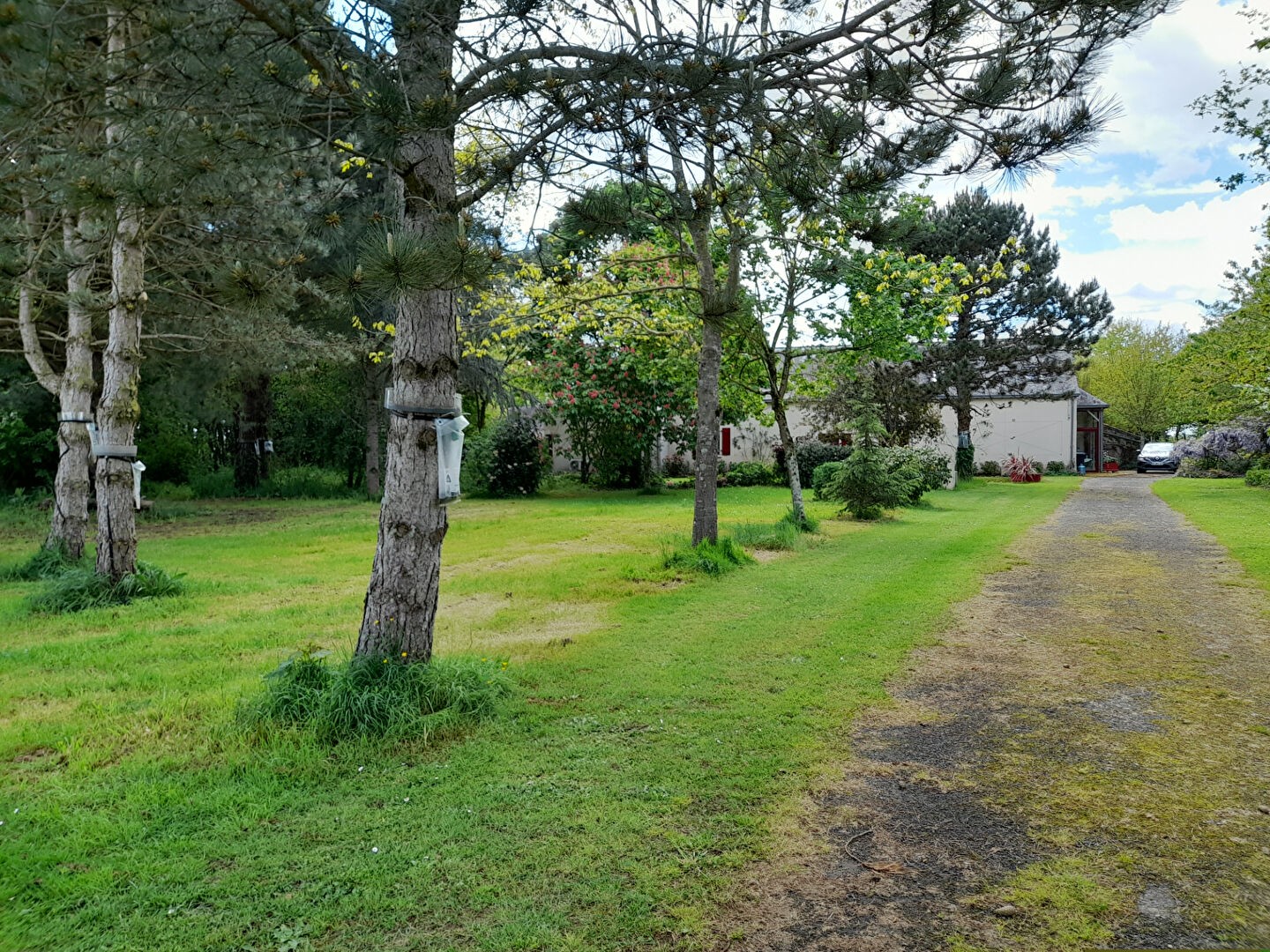 Vente Maison à Château-Gontier 10 pièces