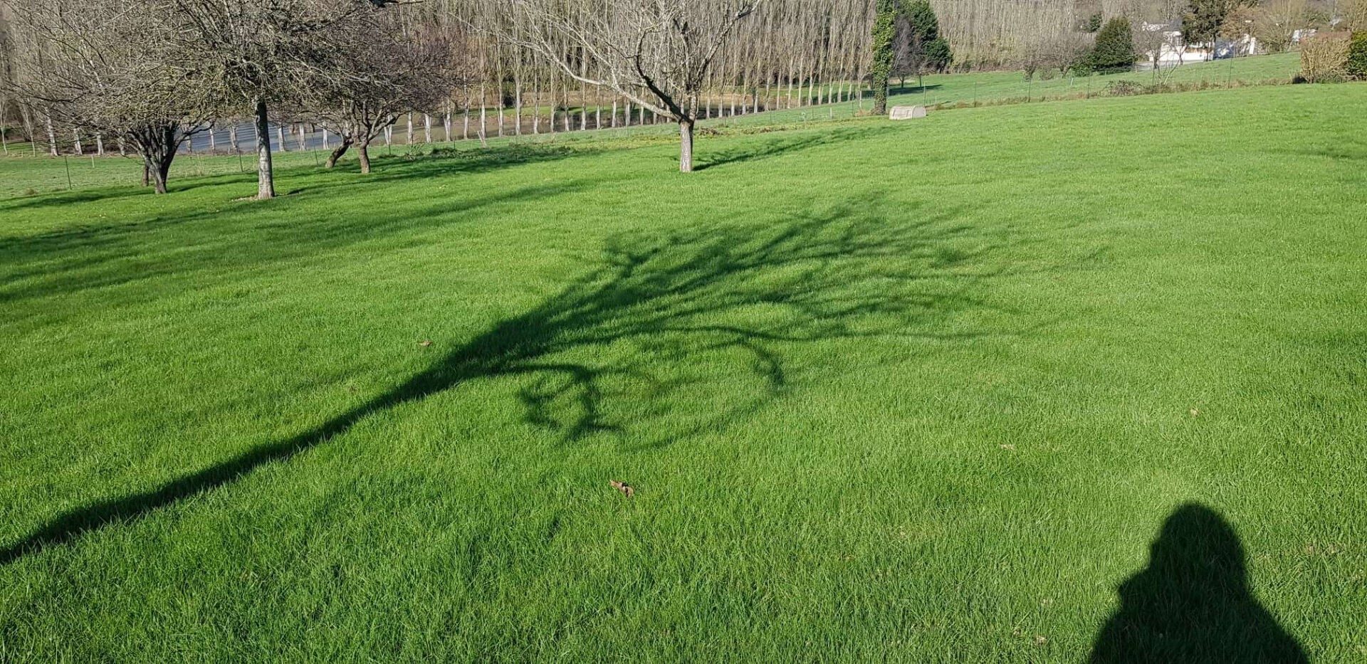 Vente Terrain à Château-Gontier 0 pièce