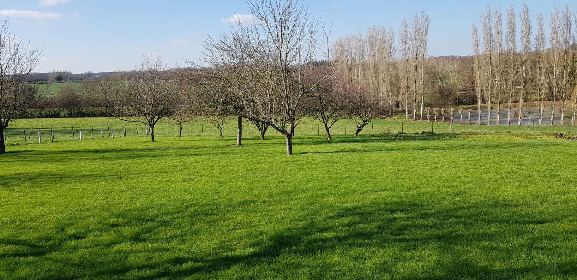 Vente Terrain à Château-Gontier 0 pièce