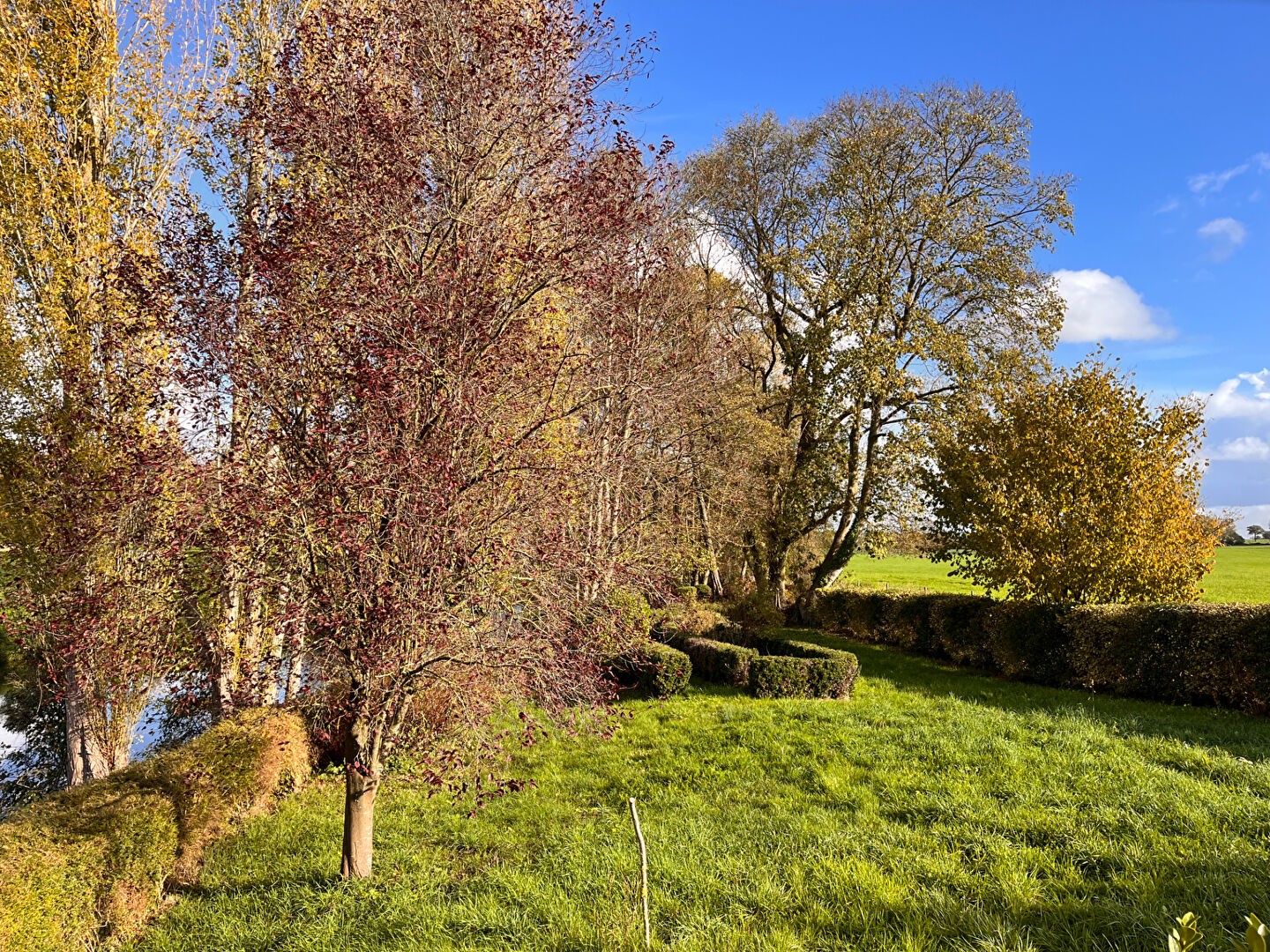 Vente Maison à Segré 4 pièces