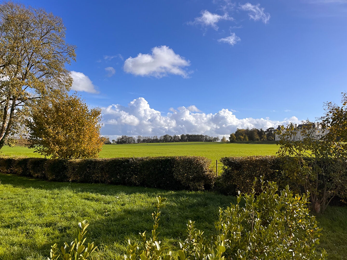 Vente Maison à Segré 4 pièces